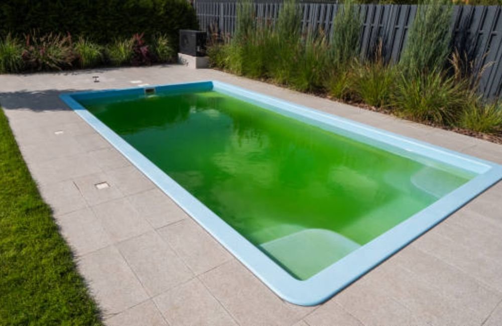 Green Pool Cleaning in Petaluma, CA
