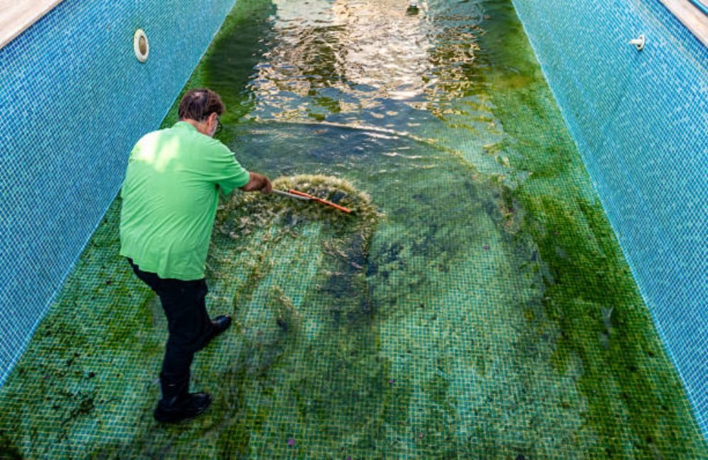 Green Pool Cleaning in Petaluma, CA