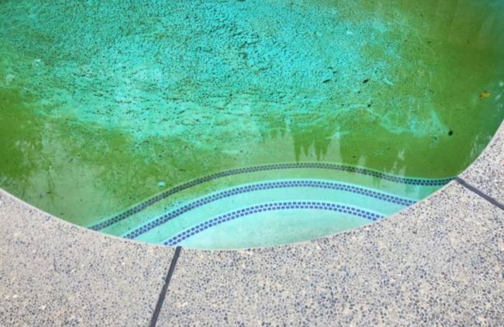 Green Pool Cleaning in Petaluma, CA