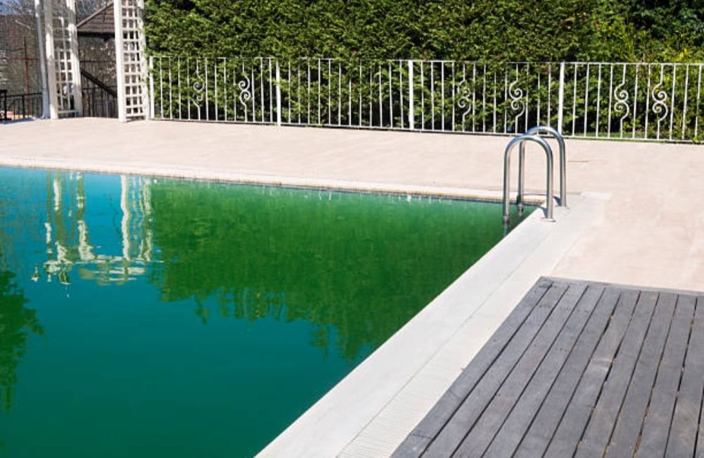 Green Pool Cleaning in Petaluma, CA