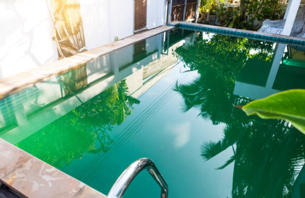 Green Pool Cleaning in Petaluma, CA