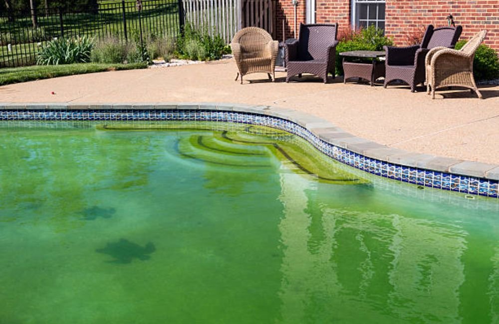 Green Pool Cleaning in Petaluma, CA